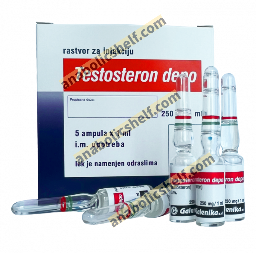 Testosterone Enanthate 250mg/mL - 1 ampule | Galenika