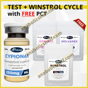 Testosterone Cypionte and Winstrol Cycle with Free PCT - 8 weeks - Muscle Mass