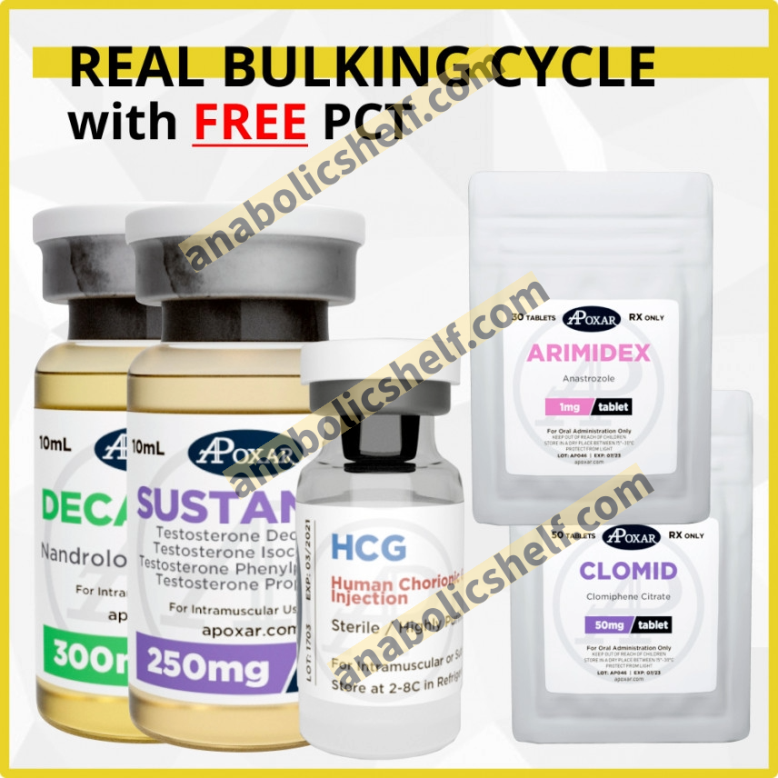 Sustanon and Decabolin Cycle - 8 Weeks - Muscle Mass