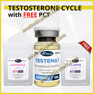 Testosterone Cycle with Free PCT - 8 Weeks - Muscle Mass